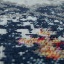 97507.jpg