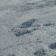 92805.jpg